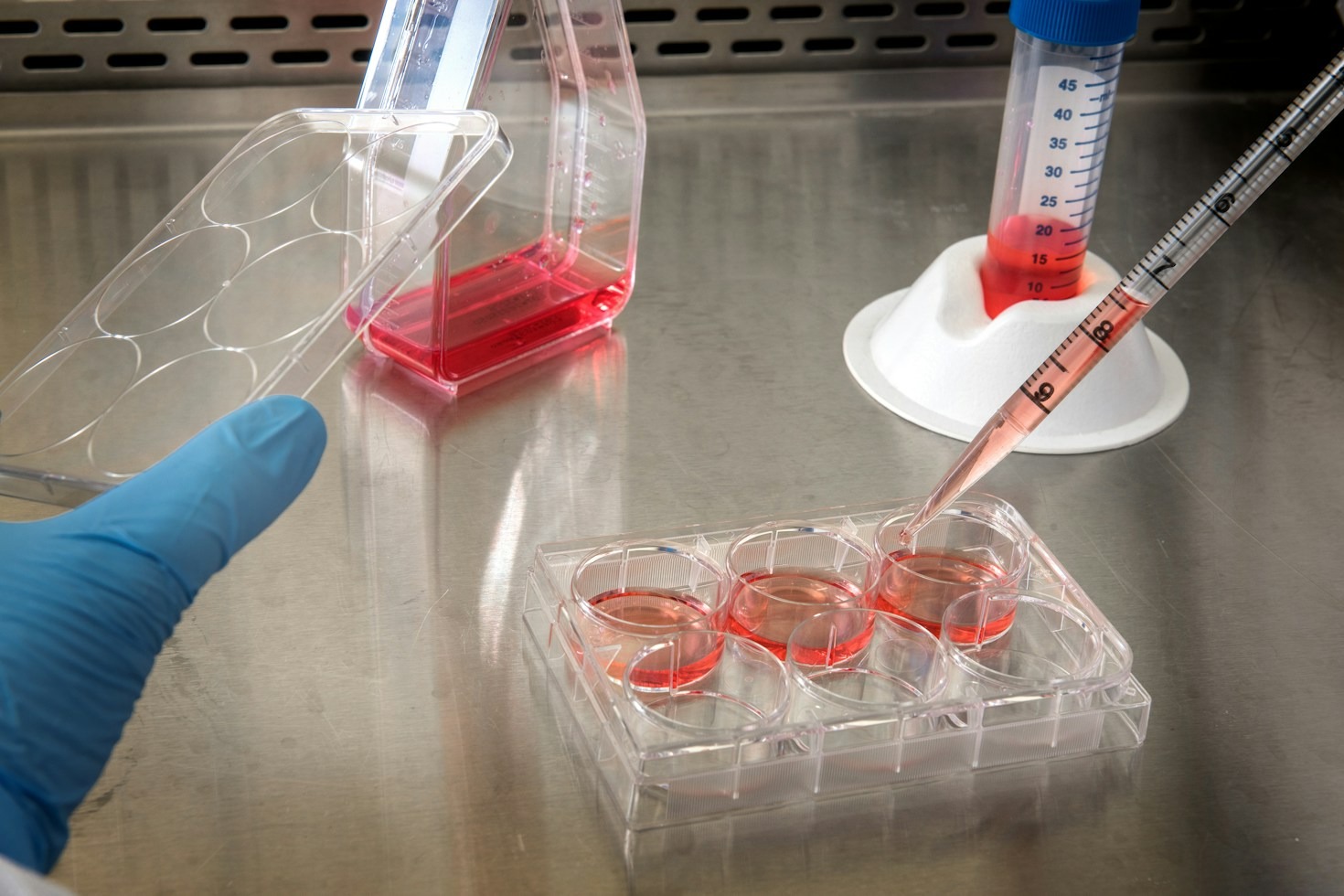 Sicurezza alimentare: i nuovi standard dettati dalla ricerca scientifica
